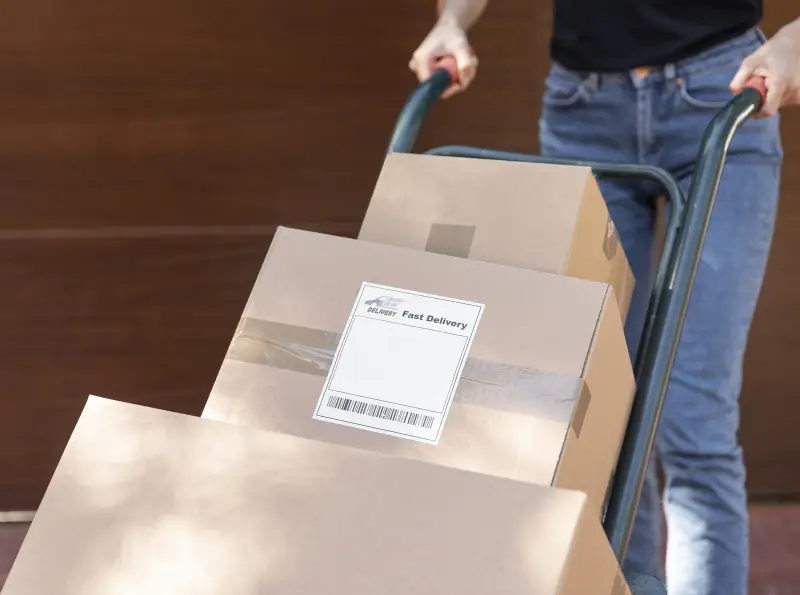 Objeto postado: o pacote foi entregue &agrave; transportadora e o processo de&hellip;
